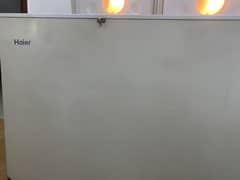 haier deep freezer double door