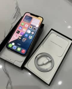 iphone 12 pro max pta approved