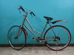 Vintage "Old is Gold" Bicycle for Sale – A Collector’s Dream!