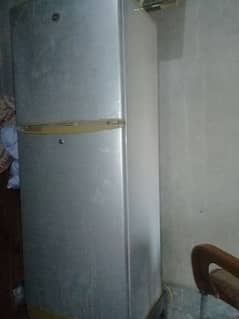 PAL frige