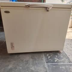 waves deep freezer