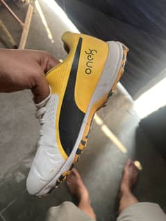 Puma cricket grippers