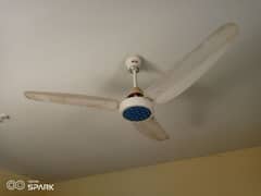 Original GFC Fan For Sell
