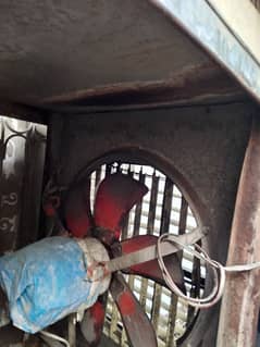 Air cooler