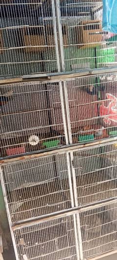 Cage/pinjra 8 portion/Doves