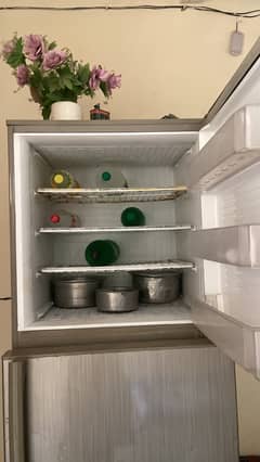 PEL freezer full size