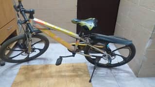 Cycle with Disk Brakes