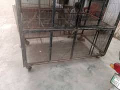 birds k liy pingra
