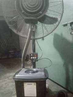 royal fans