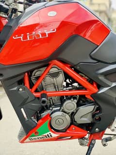 benelli tnt 25