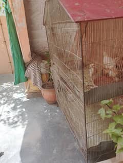 cage for sale