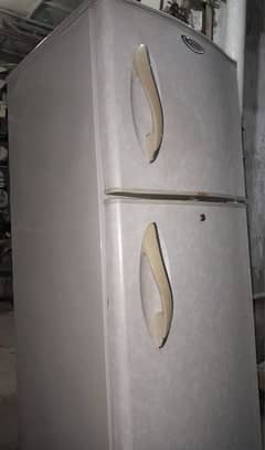 Waves Refrigerator medium size