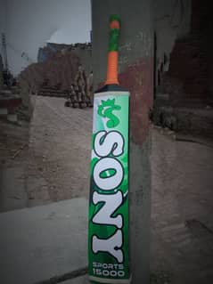 Siri Lankan coconut bat