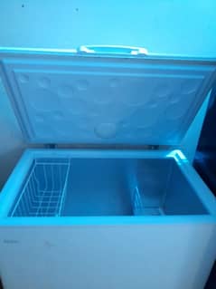 D freezer