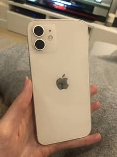 i phone 12 pta approved