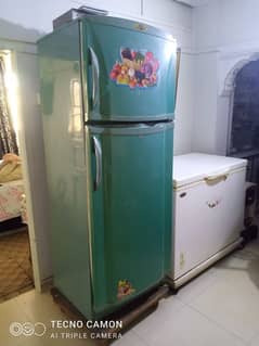 pel fridge for sale