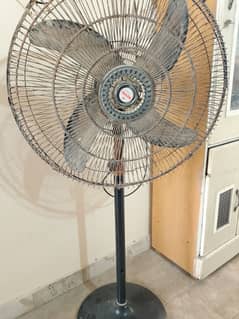 Royal fan