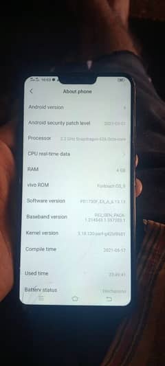 Vivo