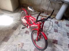 Dolphin Bicycle