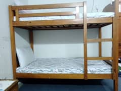 Bunk