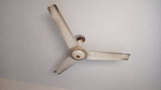 cealing fan 0313-1727-666
