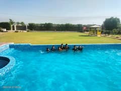 8 kanal farm house available for rent in Badian road very good location