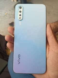vivo