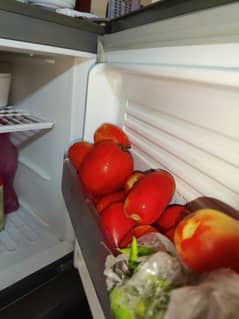 Pel Double Door Fridge