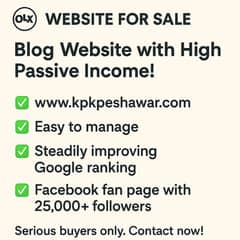 Blog Website for Sale