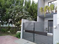 Saima Downtown The Best Option