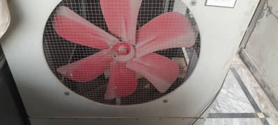 Full-Size