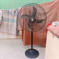 Royal pedestal fan