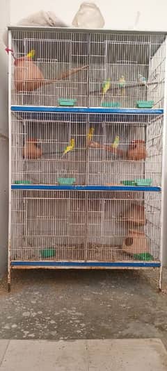 Cage For Sale with Birds. 3 Pairs 2 single male.