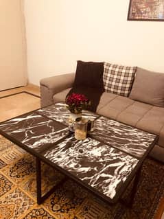 Marble centre table