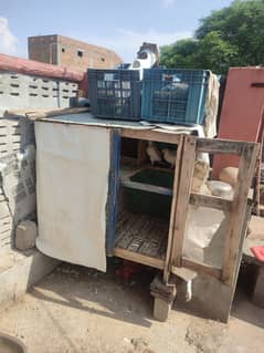 Pigeon + Cage