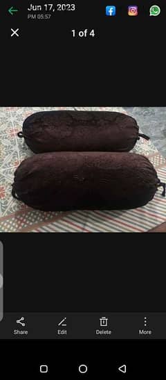 Brand New Full Size Master Two Pillows With Expensive Covers Install.