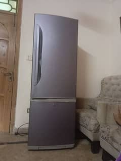Panasonic fridge