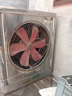 Cooler Fan