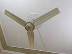GFC Ceiling Fan Pure Copper