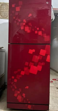 pell  glass door frigde