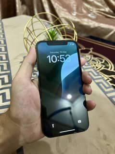 12pro