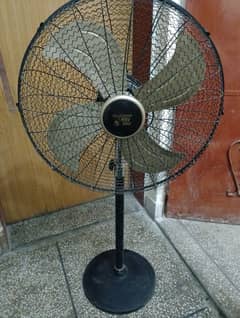 pak fan for sale
