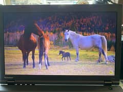 Lenovo ThinkPad
