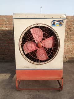 Lahorei coolar
