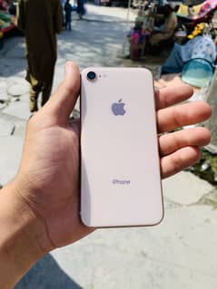 iPhone 8 Pta
