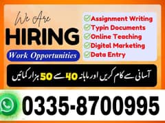 Part Time Full Time Job / Data Entry Job / Typing job / Assignment Job