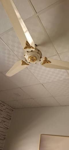 Pak Fan