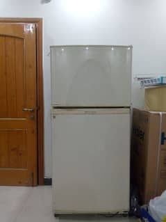 fridge and freezer