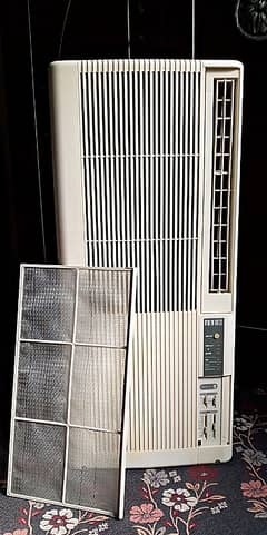 110v