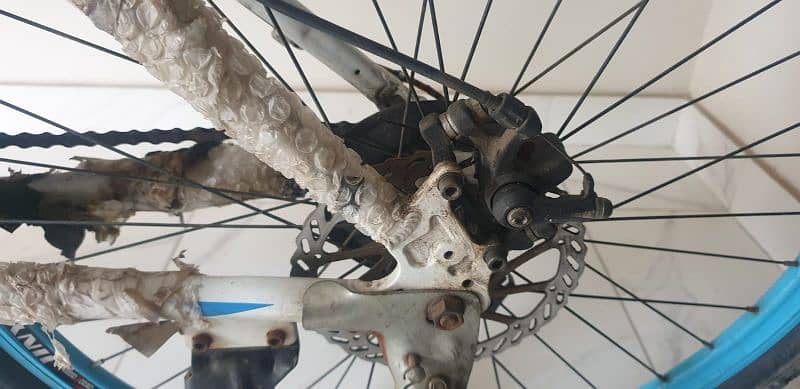 XMX cycle 24nch 1